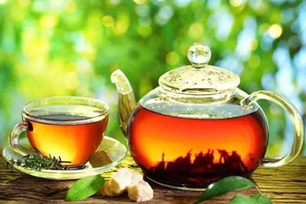 蒲公英和红茶能一起喝吗？