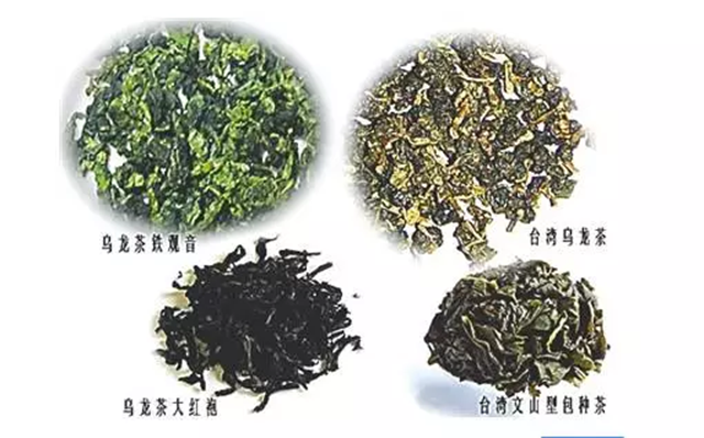 乌龙茶有哪些类型