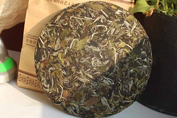 福鼎老白茶属于什么茶？