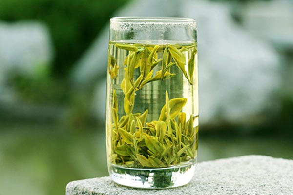 黄山毛峰是绿茶吗？