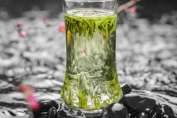 竹叶青属于什么茶，绿茶吗？