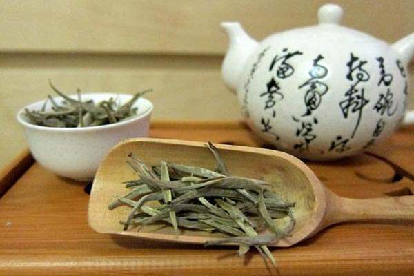 黄茶属于什么茶性？