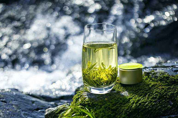 自己喝买什么绿茶比较好？