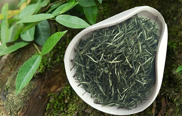 什么绿茶最香最好喝？