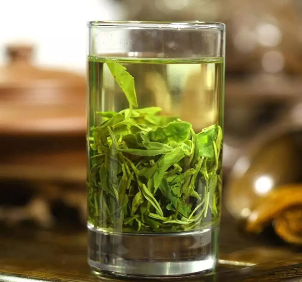 绿茶怎么泡才正确？