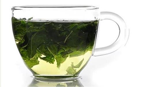 桑叶泡水喝有什么好处？春季多喝桑叶茶的好处多！