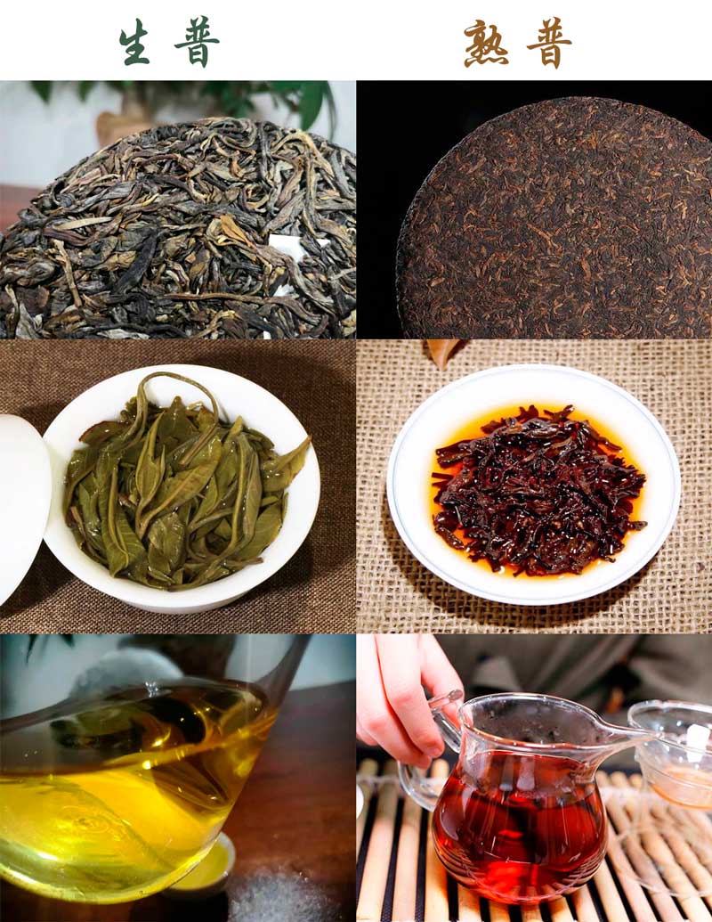 普洱熟茶跟生茶图片