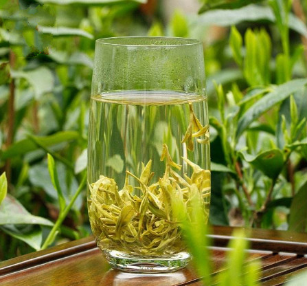 黄山毛峰属于哪一类名茶?有哪些特点?