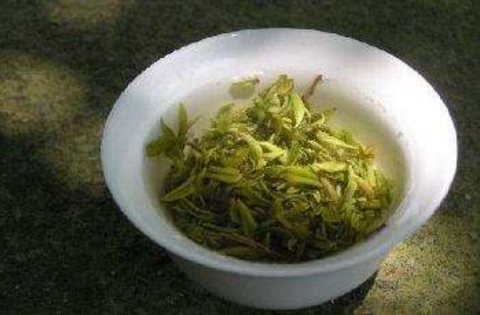 莫干黄芽属于什么茶你们喜欢喝黄茶吗