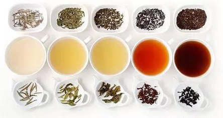 白茶意思众多，如今白茶是什么茶？